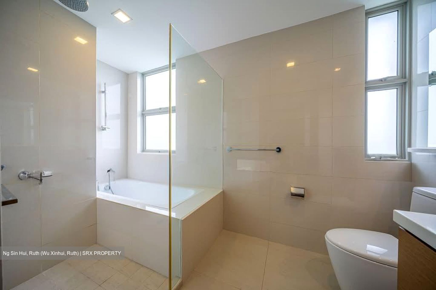Nassim Regency (D10), Condominium #592289441